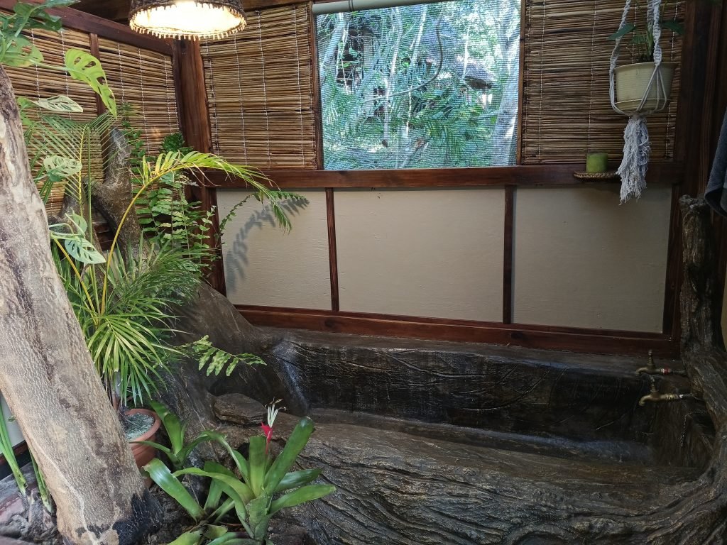 Open-air cast-cement bathtub built around a living tree
