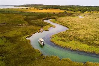 Aerial view of a boat winding through the Kosi Bay lake system