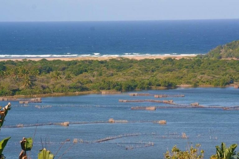 Aerial view of traditional fish kraals in the Kosi Bay lake system, ocean beyond