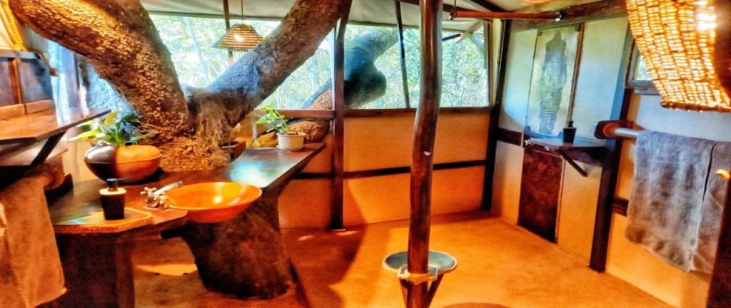 Open-air bathroom built around a living tree with a hand-carved tree-stump sink, Lualaba chalet